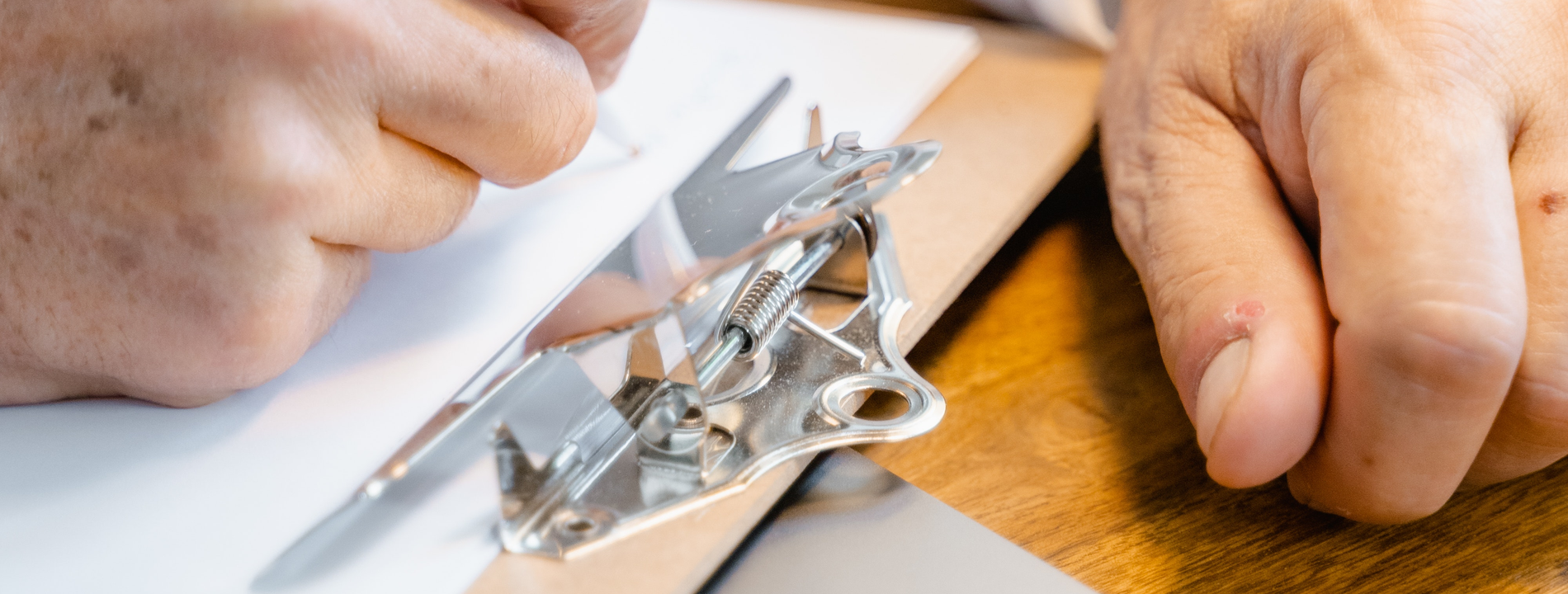 Baby Check Desarrollo